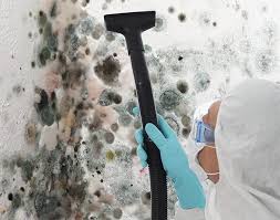 Best Residential Mold Inspection & Testing  in USA